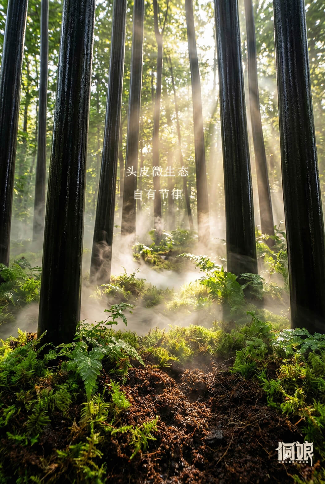 信息遁入虚无境，刷新使它不再虚无